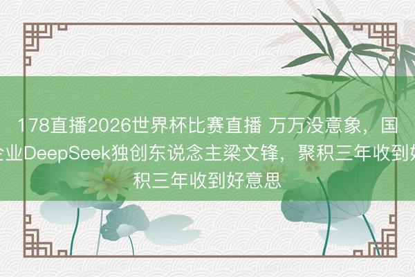 178直播2026世界杯比赛直播 万万没意象，国产AI企业DeepSeek独创东说念主梁文锋，聚积三年收到好意思